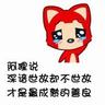 南京玄武湖网红猫